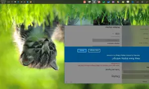 Ustawienia ekranu, jak obrócić ekran w laptopie. Widoczny kotek na tle trawy.