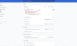 Ustawienia przeglądarki Chrome. Widok strony "Nowa karta". Możesz tu zmienić ustawienia, aby łatwiej było Ci jak zmienić przeglądarkę na Google.