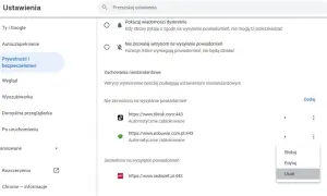 Ustawienia prywatności przeglądarki. Zobaczysz tu, jak wyłączyć powiadomienia z przeglądarki, blokując strony takie jak TikTok.