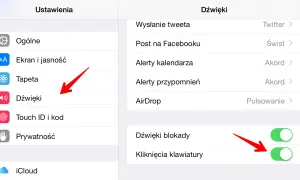 Ustawienia iPhone 11: Dźwięki. Czerwona strzałka wskazuje na opcję "Dźwięki", gdzie można wyciszyć powiadomienia.