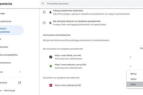 Ustawienia prywatności przeglądarki. Zobaczysz tu, jak wyłączyć powiadomienia z przeglądarki, blokując strony takie jak TikTok.