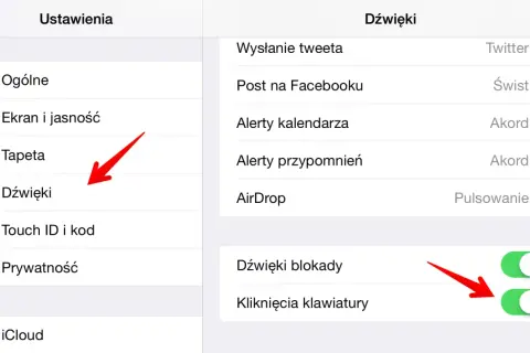 Ustawienia iPhone 11: Dźwięki. Czerwona strzałka wskazuje na opcję "Dźwięki", gdzie można wyciszyć powiadomienia.